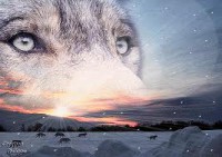 /album/fenykepeink/images-2-jpg1/